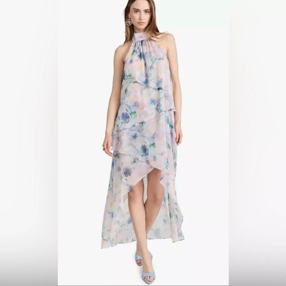NWT MISA Victorine High Low Watercolor Chiffon High Low Dress Size S - Picture 1 of 11